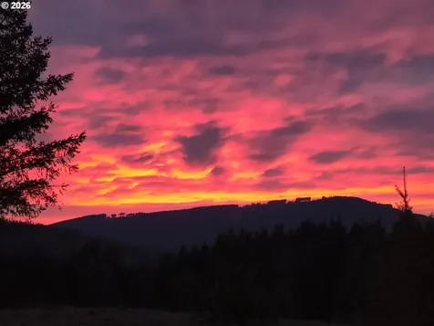 23009 NE Dole Valley Road Yacolt WA 98675