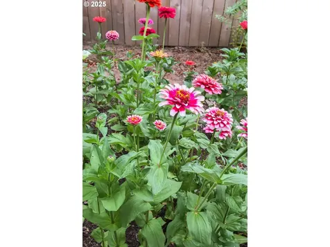 4215 NE 57th Avenue Portland OR 97218