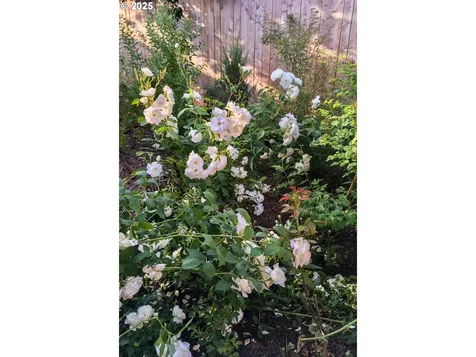 4215 NE 57th Avenue Portland OR 97218