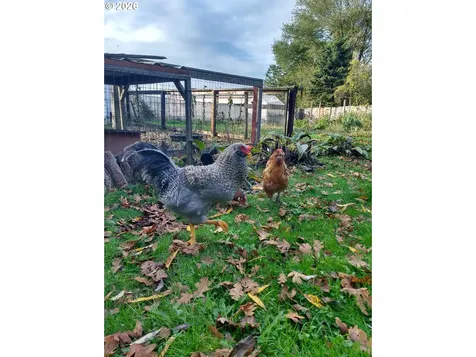16071 Apperson Boulevard Oregon City OR 97045
