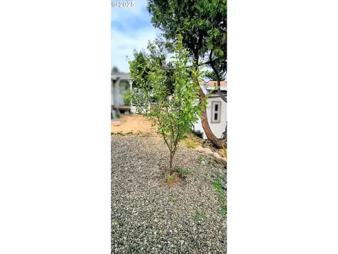 180 Twin Oaks Loop Winston OR 97496