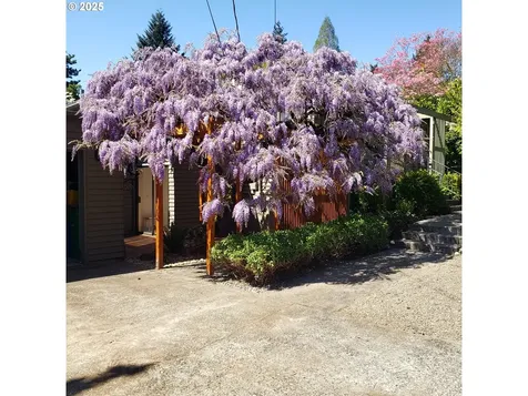 8115 SW 10th Avenue Portland OR 97219