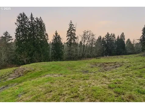 73345 Apiary Road Rainier OR 97048