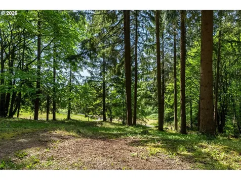 120 Solo Meadows Lane Longview WA 98632