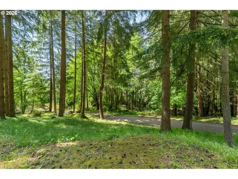 120 Solo Meadows Lane Longview WA 98632