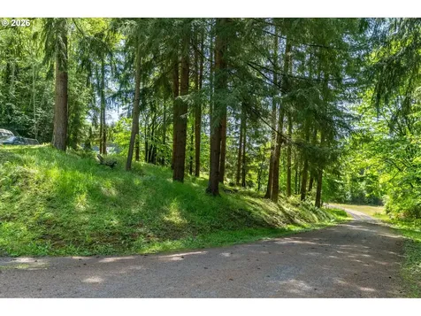 120 Solo Meadows Lane Longview WA 98632