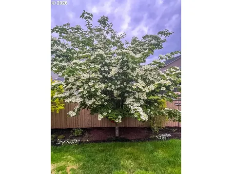 10102 NE 139th Avenue Vancouver WA 98682