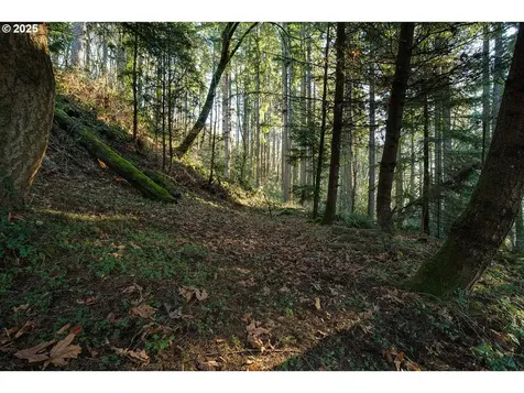810 NW Brady Road Camas WA 98607