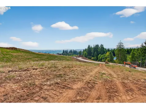 236 Jordan View Drive Woodland WA 98674