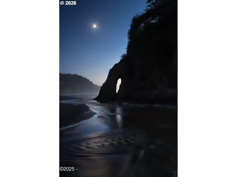 49855 Seasand Road Neskowin OR 97149