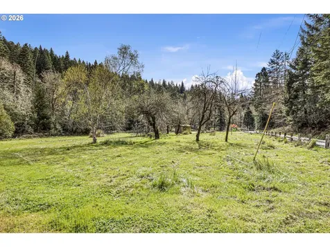 505 Sibold Canyon Road Tenmile OR 97481