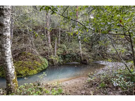 505 Sibold Canyon Road Tenmile OR 97481