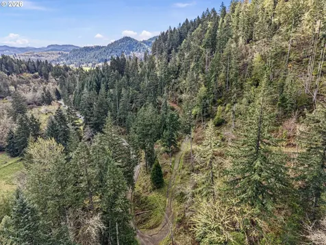 505 Sibold Canyon Road Tenmile OR 97481