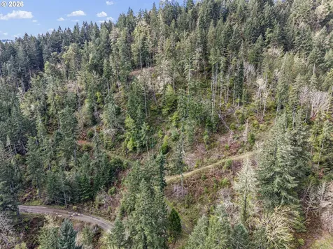 505 Sibold Canyon Road Tenmile OR 97481