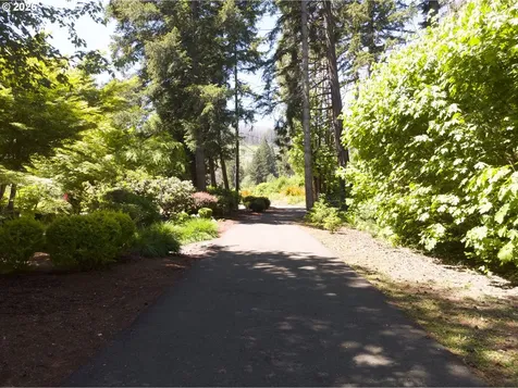 46836 Mckenzie Highway Vida OR 97488