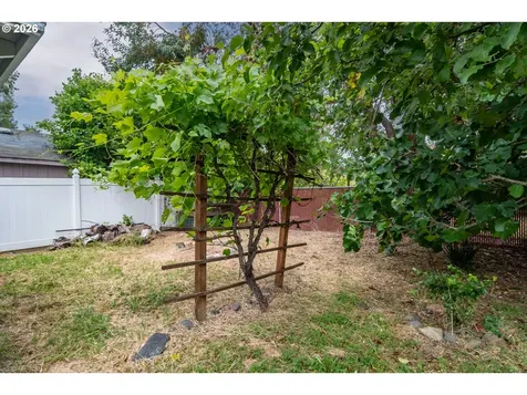 461 W Broccoli Street Roseburg OR 97471