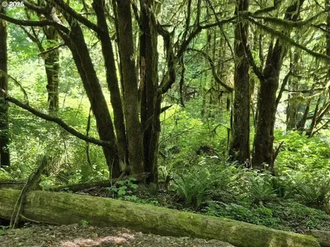Middle Creek Road Myrtle Point OR 97458