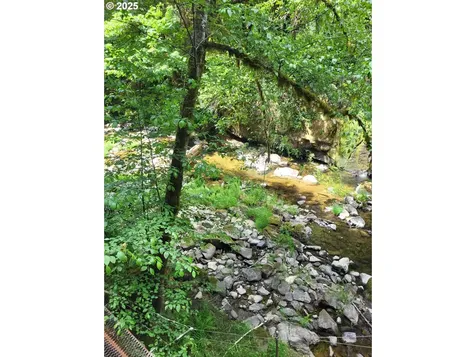 Middle Creek Road Myrtle Point OR 97458