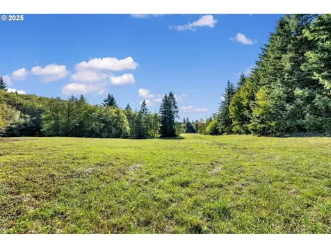 40300 NE 169th Avenue Amboy WA 98601