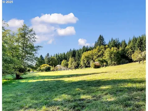 40300 NE 169th Avenue Amboy WA 98601