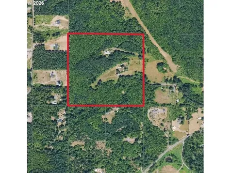 40300 NE 169th Avenue Amboy WA 98601