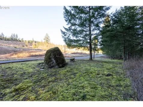 Loop Road Stevenson WA 98648