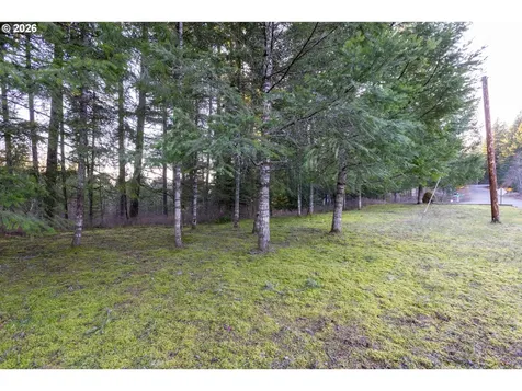 Loop Road Stevenson WA 98648