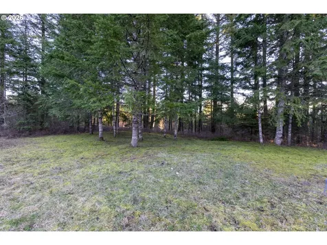 Loop Road Stevenson WA 98648