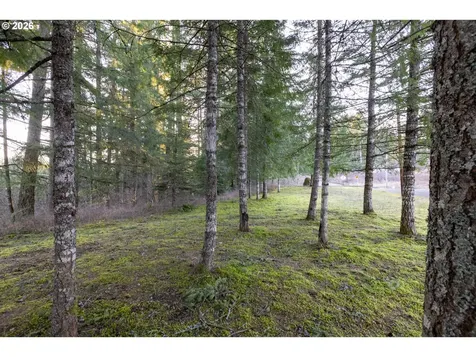 Loop Road Stevenson WA 98648