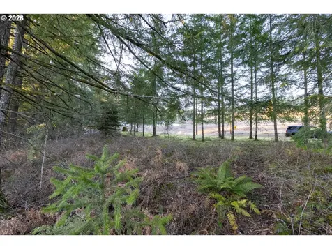 Loop Road Stevenson WA 98648