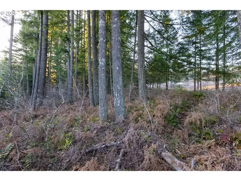 Loop Road Stevenson WA 98648
