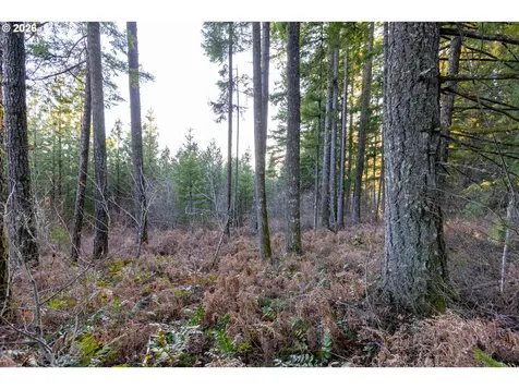 Loop Road Stevenson WA 98648