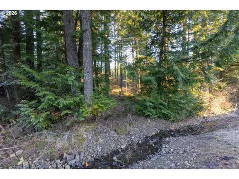 Loop Road Stevenson WA 98648