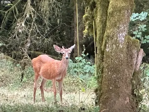 9245 NW Skyline Boulevard Portland OR 97231