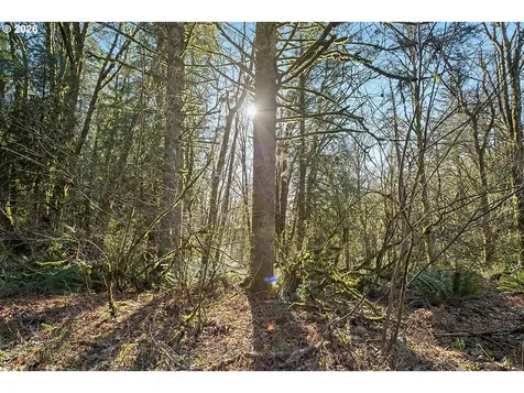 9245 NW Skyline Boulevard Portland OR 97231