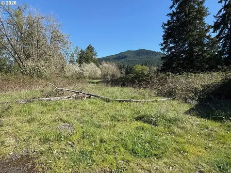 40144 Big Fall Creek Road Fall Creek OR 97438