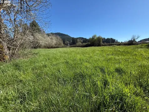 40144 Big Fall Creek Road Fall Creek OR 97438