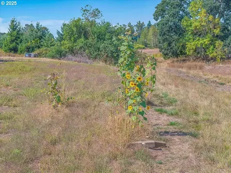 24843 S Blundell Road Canby OR 97013