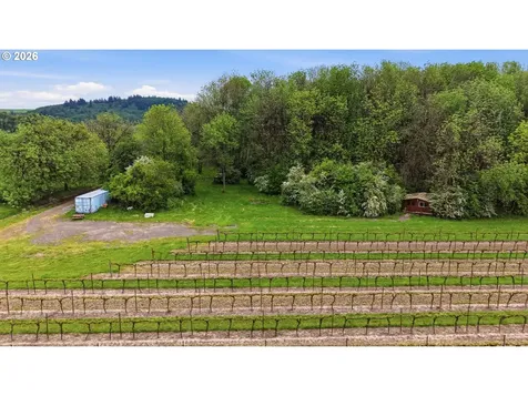 NE Yamhill Road Carlton OR 97111