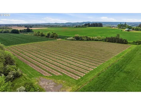 NE Yamhill Road Carlton OR 97111