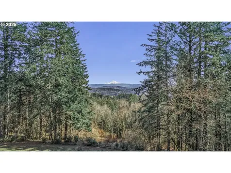 11402 SE Cheerful Way Happy Valley OR 97086