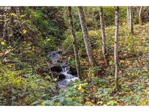 372 Wind Mountain Road Stevenson WA 98648