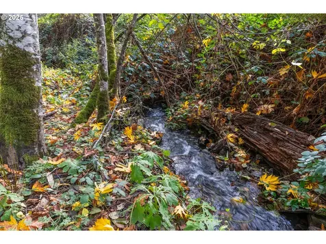 372 Wind Mountain Road Stevenson WA 98648