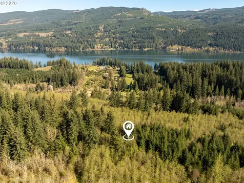 0 Buncombe Hollow Road NE Woodland WA 98674