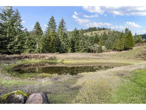 302 Scott Road Oakland OR 97462