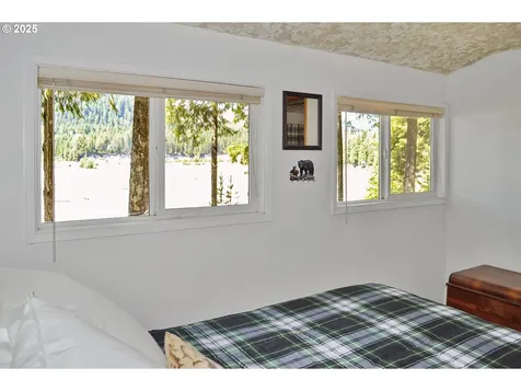 Cabin 25 Northwoods Cougar WA 98616