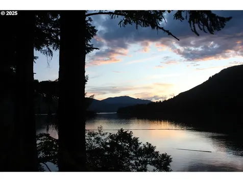 Cabin 25 Northwoods Cougar WA 98616