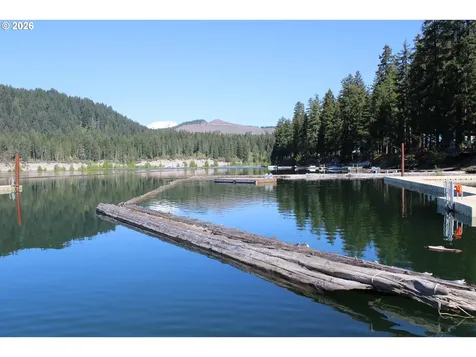 Cabin 25 Northwoods Cougar WA 98616