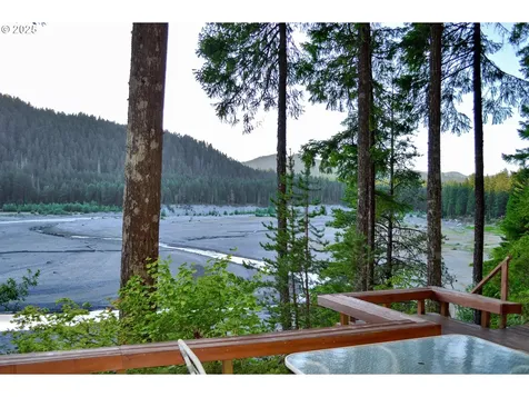 Cabin 25 Northwoods Cougar WA 98616