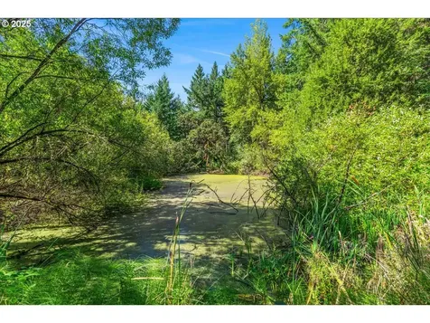 18175 NE Bald Peak Road Newberg OR 97132